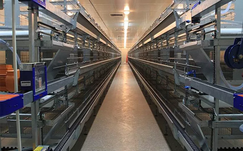 鸡舍笼具