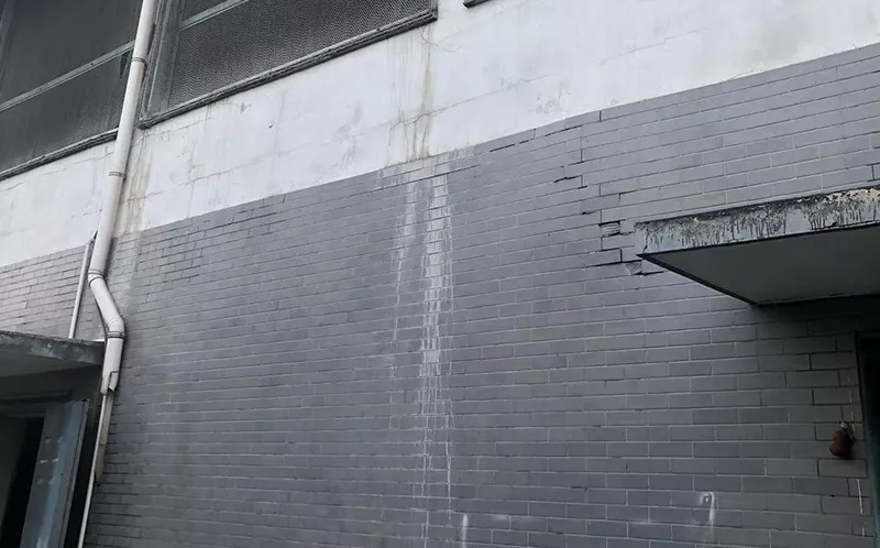 防鸟网