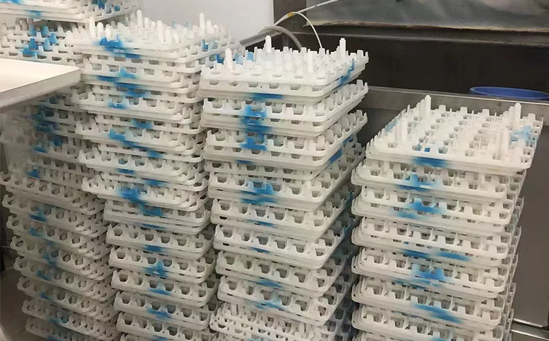 蛋盘